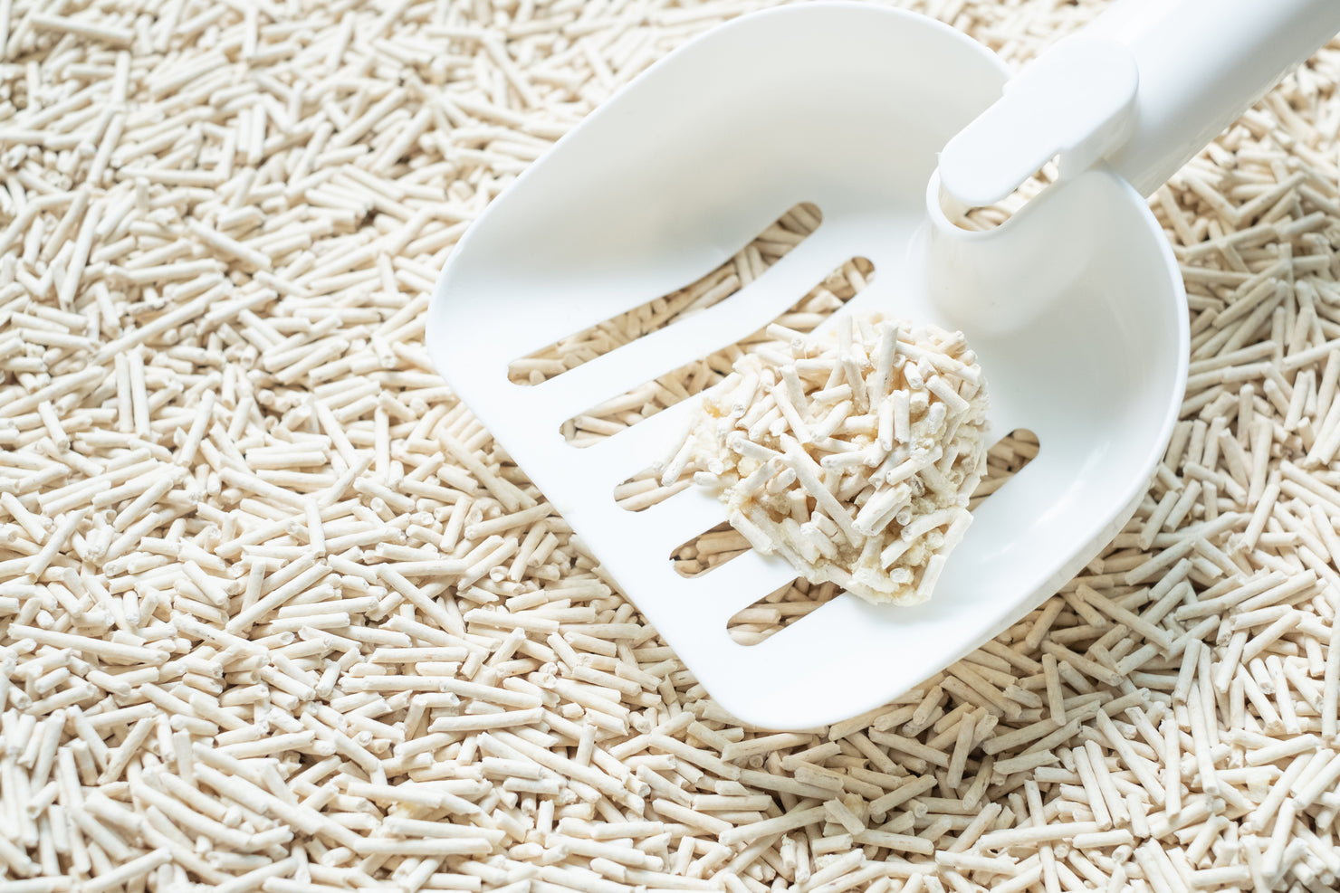 White scoop lifting a firm clump from natural tofu cat litter