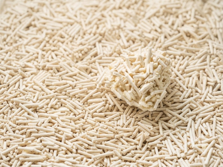 A solid clump resting on a bed of tofu litter pellets