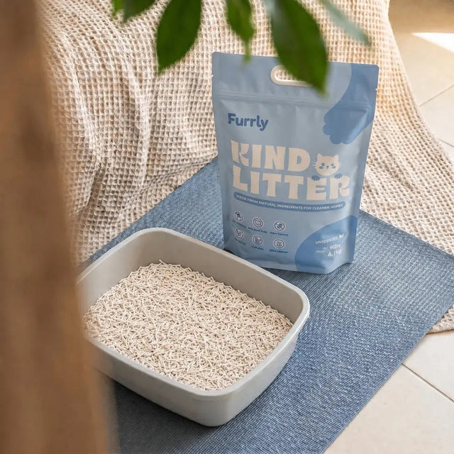 A clean litter box filled with natural tofu cat litter in a cozy home