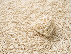 A solid clump resting on a bed of tofu litter pellets