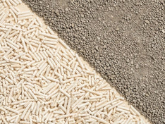 Tofu litter meeting clay litter along a clean diagonal
