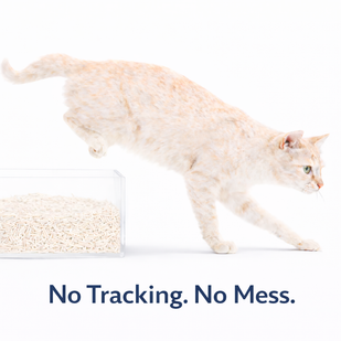 No Tracking. No Mess.